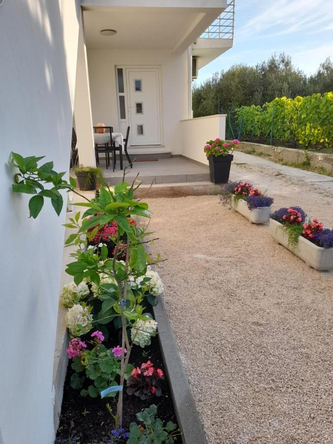 Apartmani Sara بيبينيا المظهر الخارجي الصورة