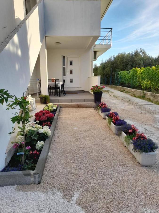 Apartmani Sara بيبينيا المظهر الخارجي الصورة